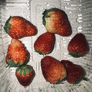 亚洲高清免费观看在线视频
